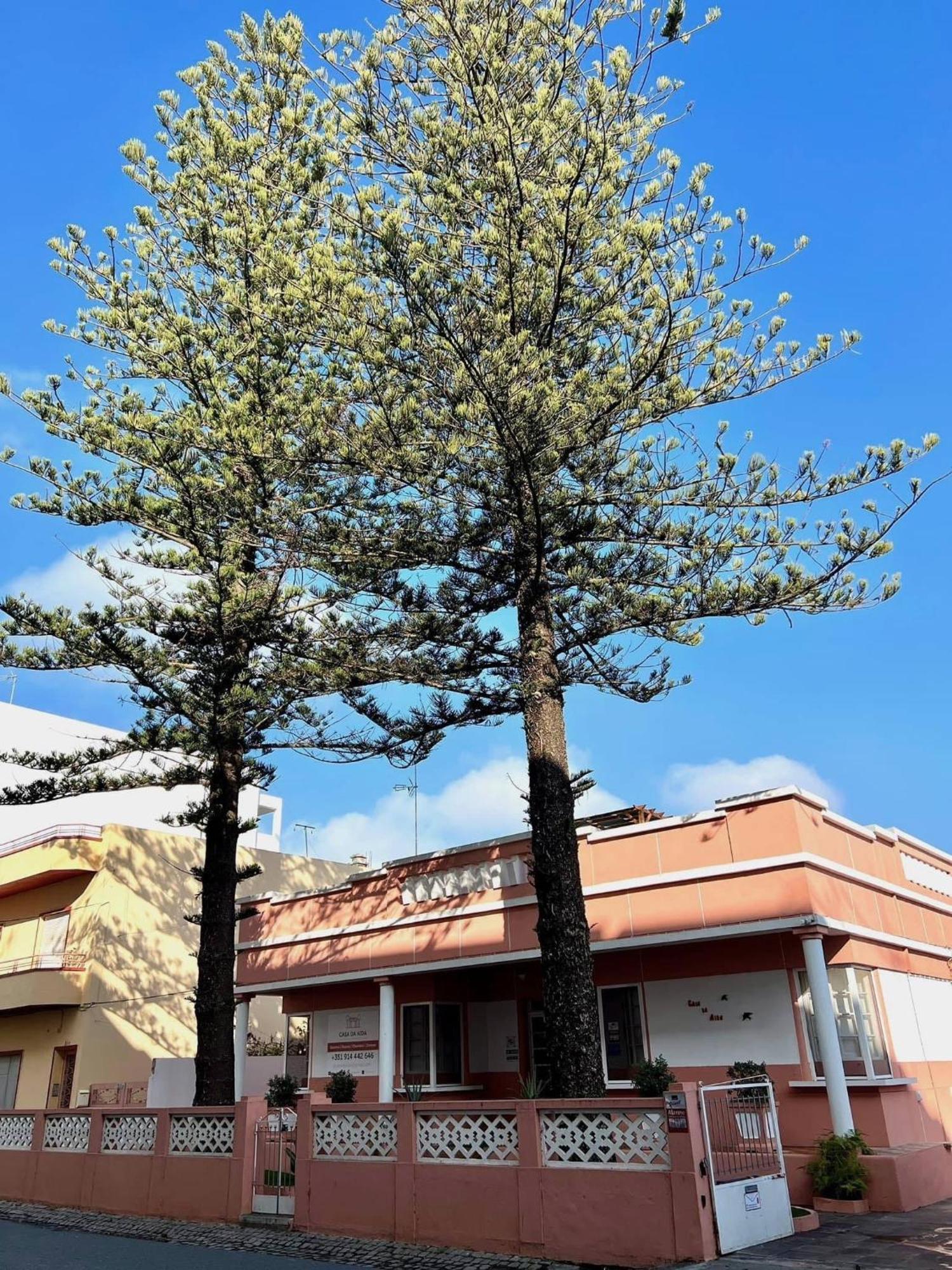 Casa da Aida Fuzeta Exterior foto